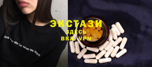 стаф Аркадак