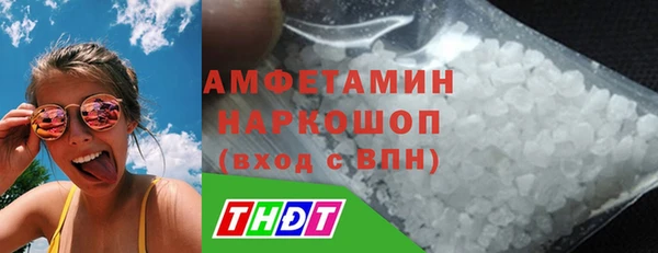 стаф Аркадак
