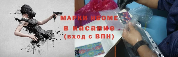 стаф Аркадак