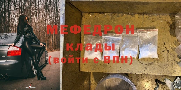 стаф Аркадак