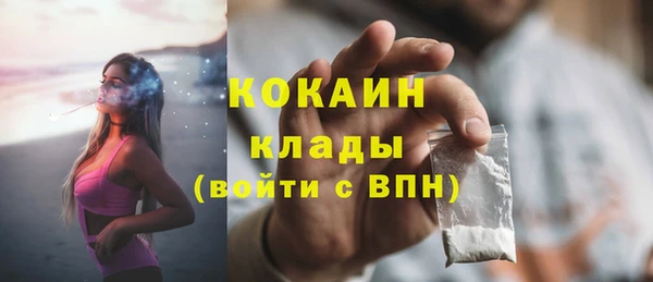 стафф Арсеньев