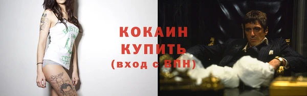 стафф Арсеньев