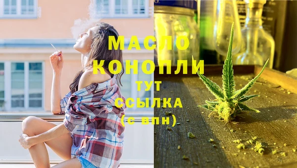 стаф Аркадак