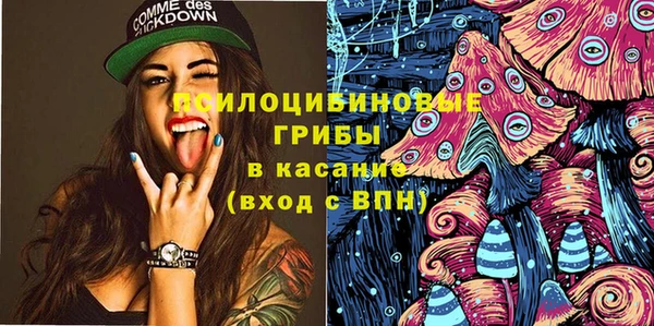 стаф Аркадак