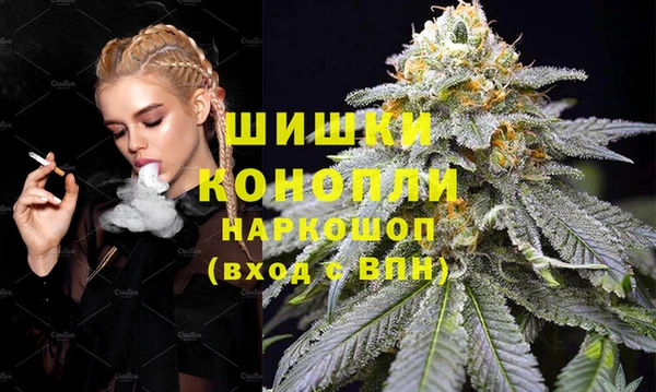 стаф Аркадак