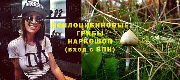 стафф Арсеньев