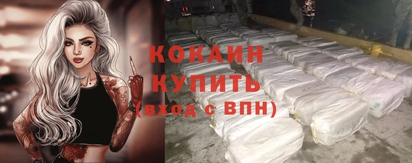 стафф Арсеньев