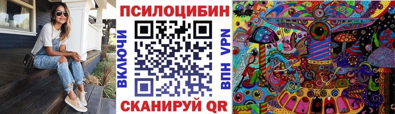 Купить закладки Переславль-Залесский Псилоцибиновые грибы Psilocybine cubensis